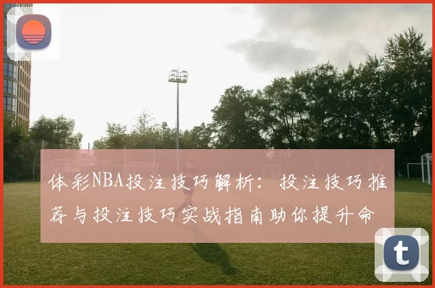 体彩NBA投注技巧解析：投注技巧推荐与投注技巧实战指南助你提升命中率
