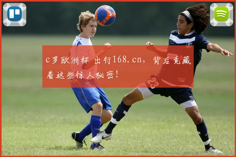 c罗欧洲杯 出行168.cn，背后竟藏着这些惊人秘密！