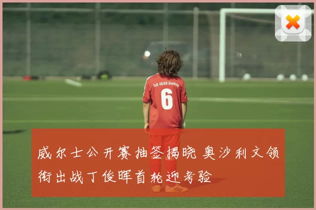 威尔士公开赛抽签揭晓 奥沙利文领衔出战丁俊晖首轮迎考验