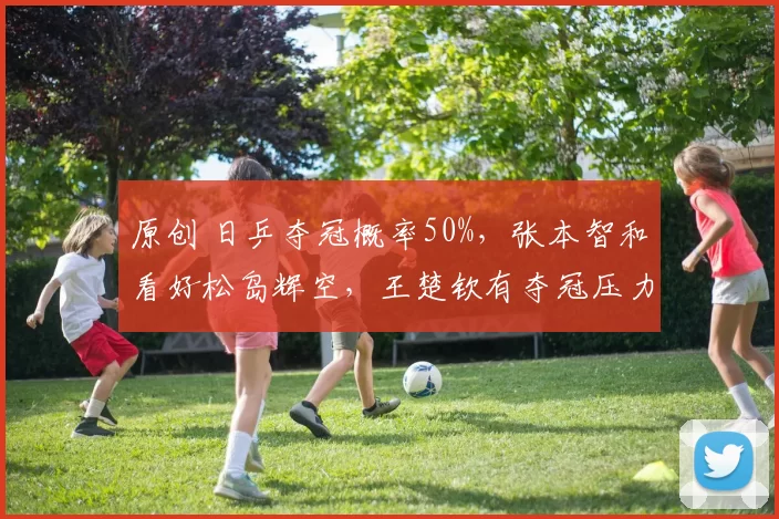 原创 日乒夺冠概率50%，张本智和看好松岛辉空，王楚钦有夺冠压力