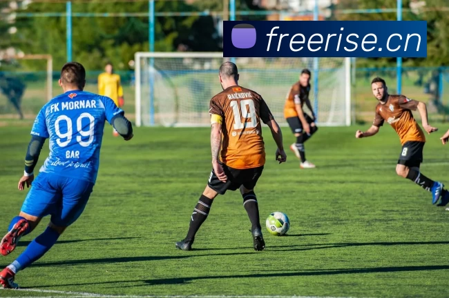 九游体育官网网页入口平台生态图